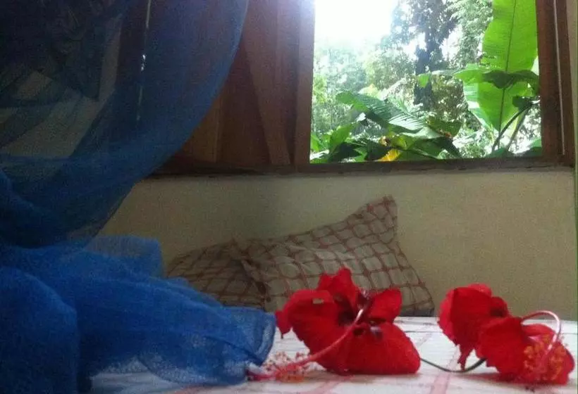 Retkeilymaja El Faro 13 De Puerto Viejo