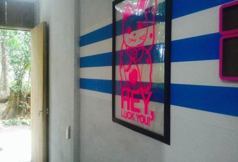 Общежитие El Faro 13 De Puerto Viejo