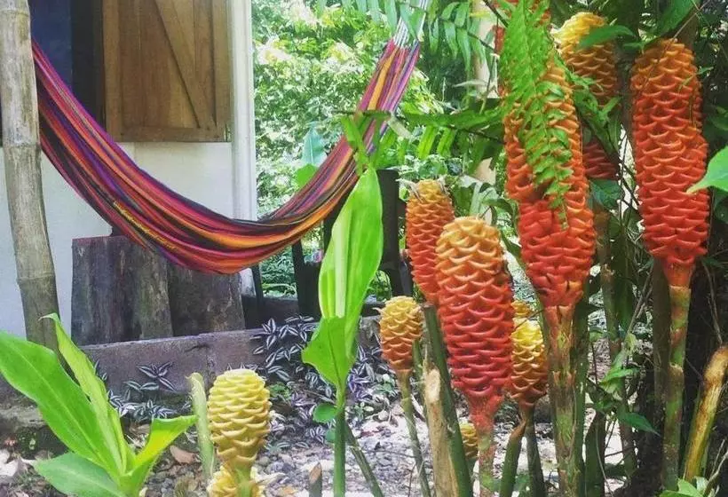 Retkeilymaja El Faro 13 De Puerto Viejo