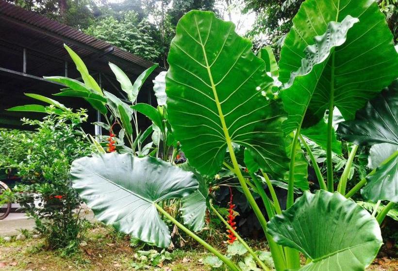 Общежитие El Faro 13 De Puerto Viejo