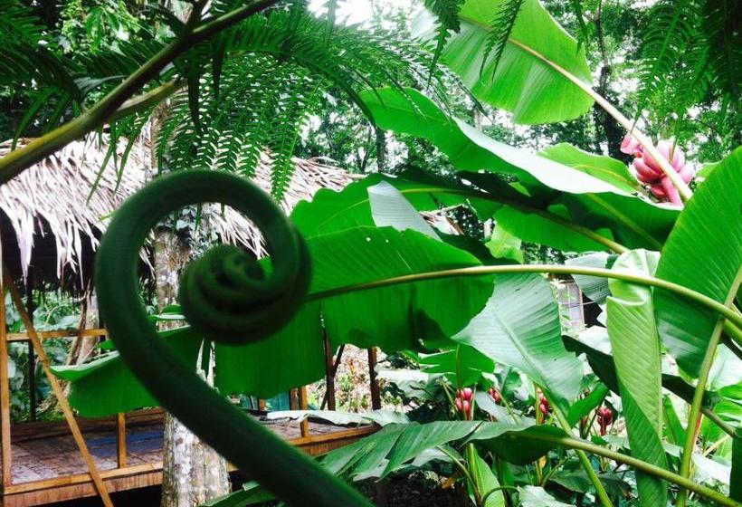 Общежитие El Faro 13 De Puerto Viejo