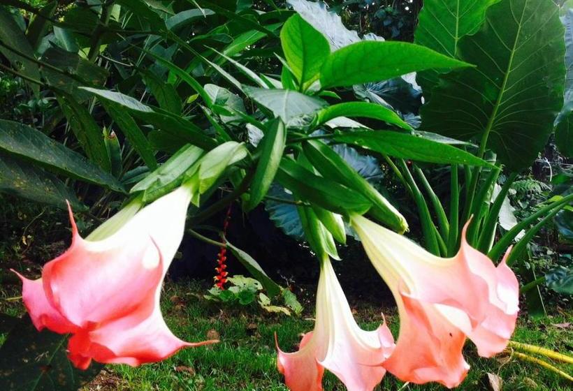 Общежитие El Faro 13 De Puerto Viejo