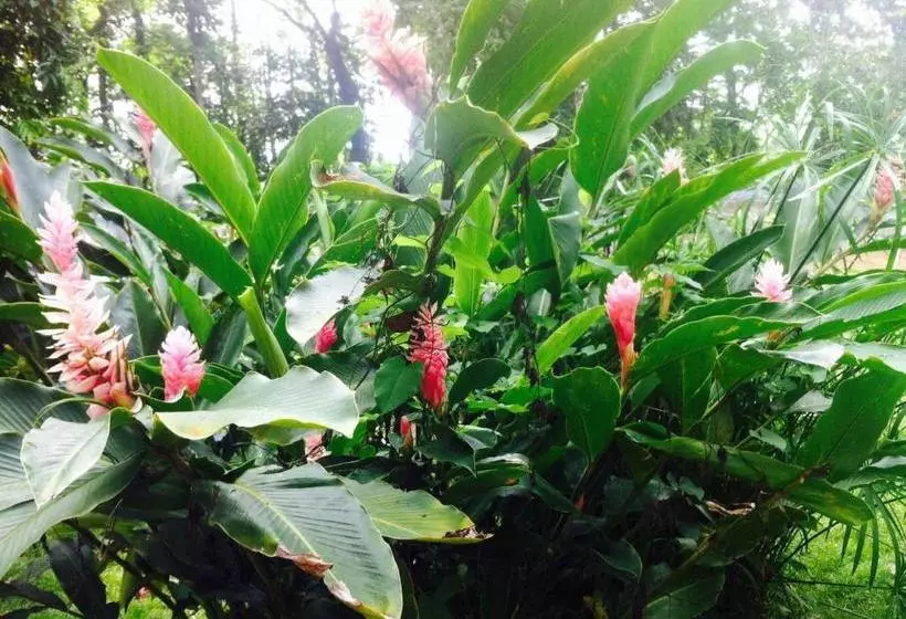 Retkeilymaja El Faro 13 De Puerto Viejo