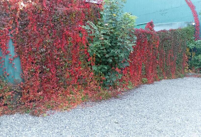 Apart Hotel Colonia Königsberg Estacionamiento Deptos Completos Ubicado En El Centro De Valdivia Air