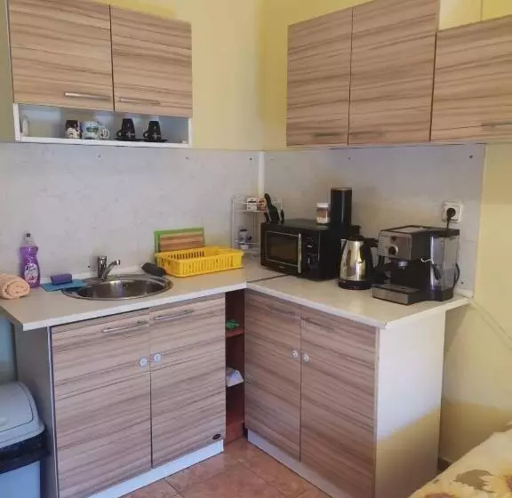ペンション Guest House Bа́kish Obzor