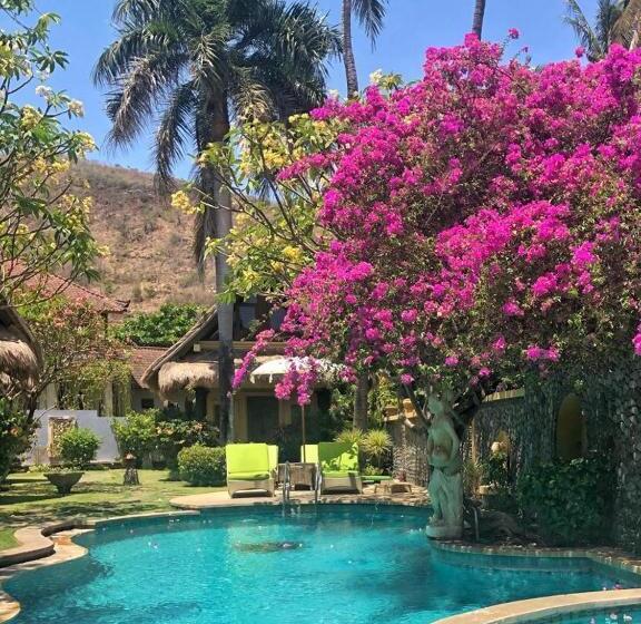 Пансион Life In Amed Beach