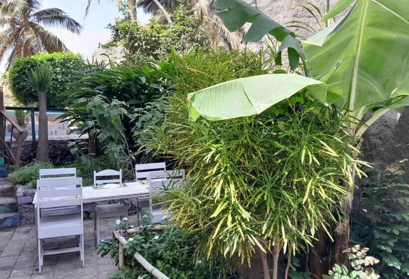 هتل Divin Art B&b