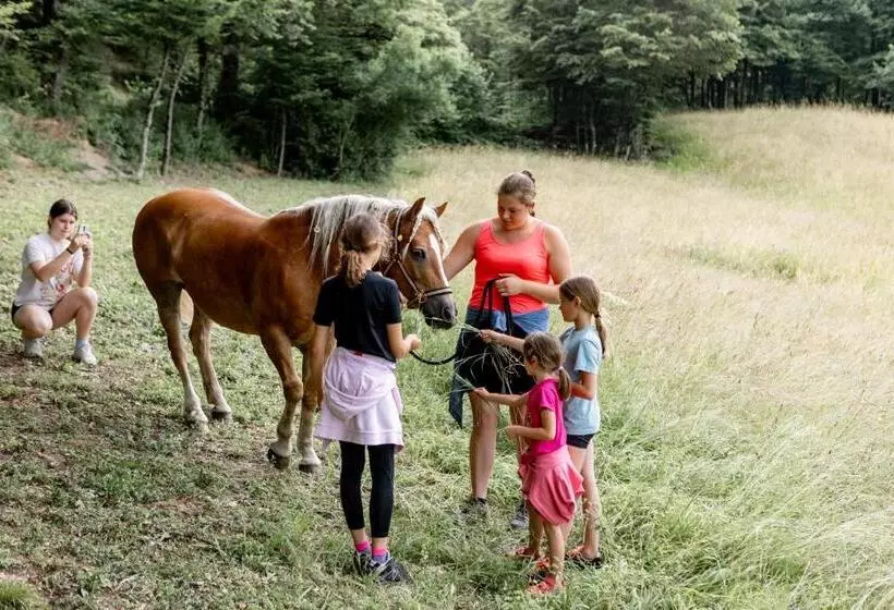هتل Smrekarjeva Domačija
