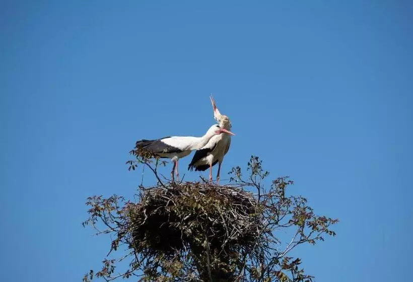 هتل Smrekarjeva Domačija
