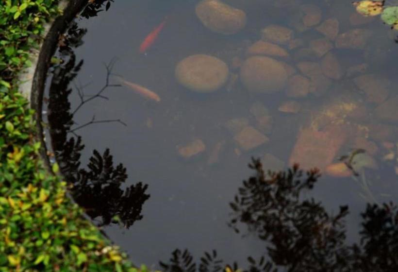 פנסיון East View Guesthouse