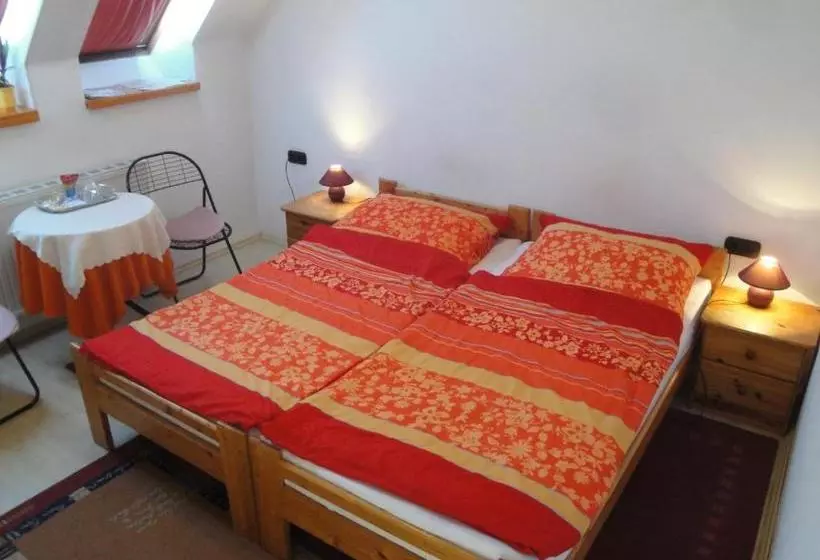 پانسیون Guest House Ringhofer Vendégház