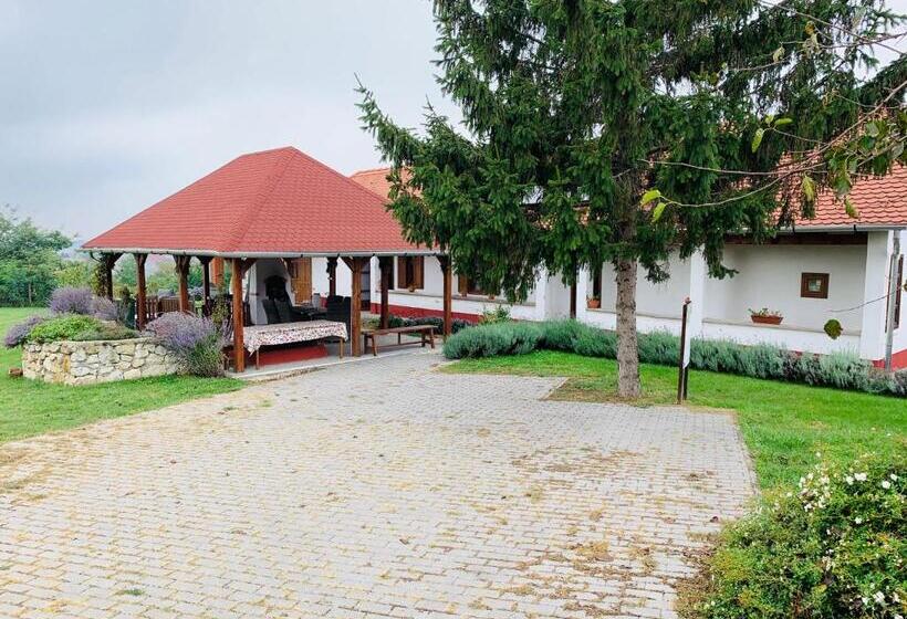 פנסיון Katica Vendégház