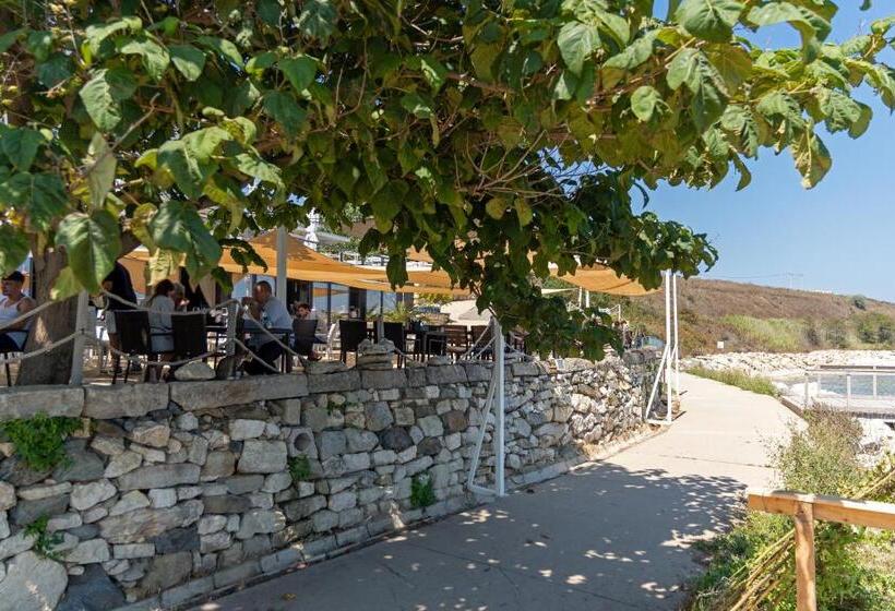 פנסיון Sea&sky Villa Costinesti