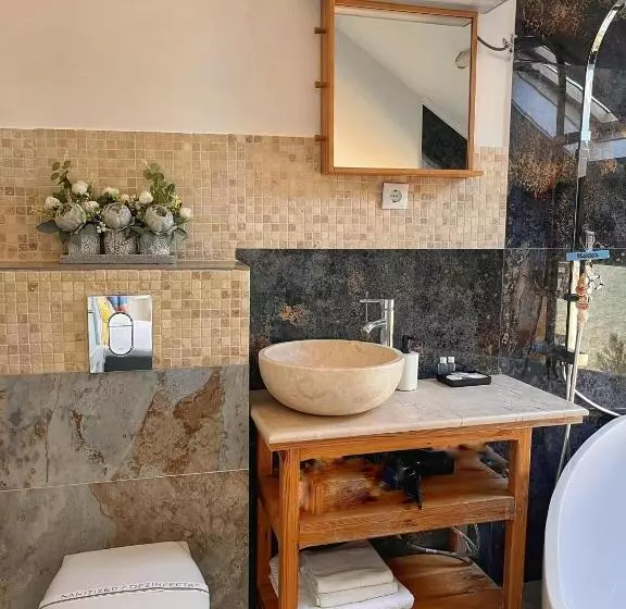 پانسیون Sea&sky Villa Costinesti