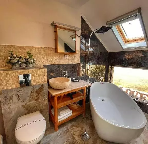 پانسیون Sea&sky Villa Costinesti