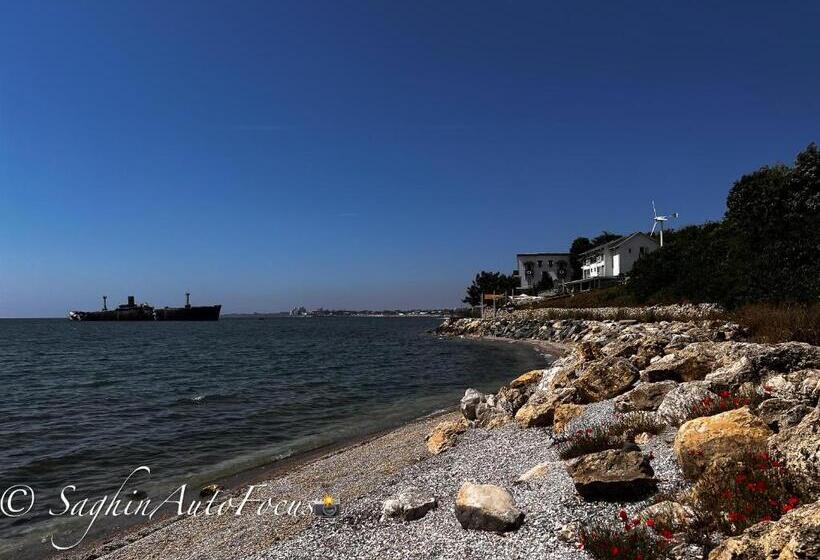 פנסיון Sea&sky Villa Costinesti