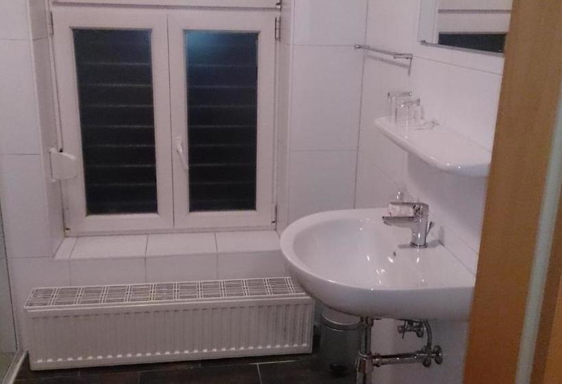 旅馆 Gasthof Zum Goldenen Pflug