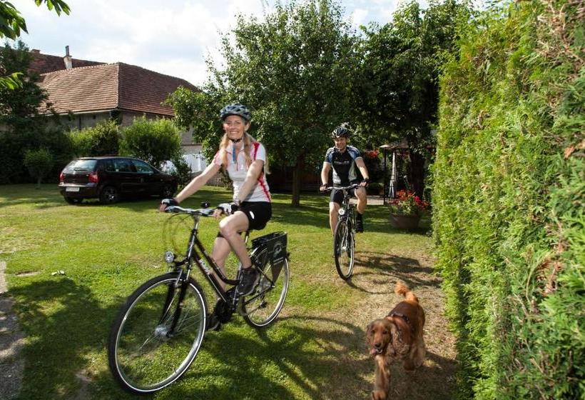 Gästehaus Ferk Frühstückspension, Bed & Breakfast