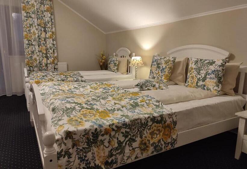 پانسیون Casa Alina