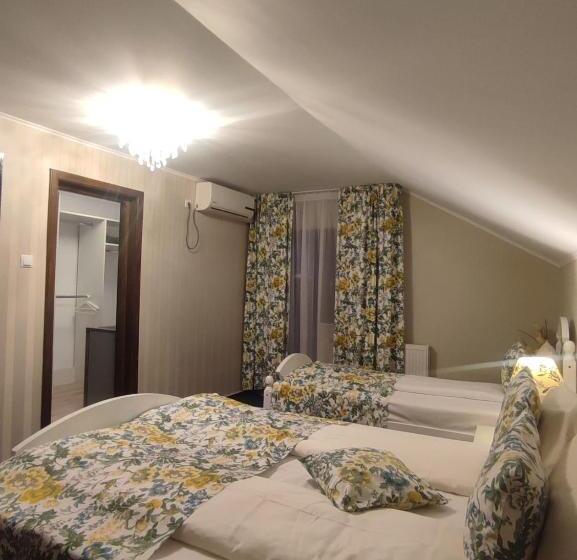 پانسیون Casa Alina