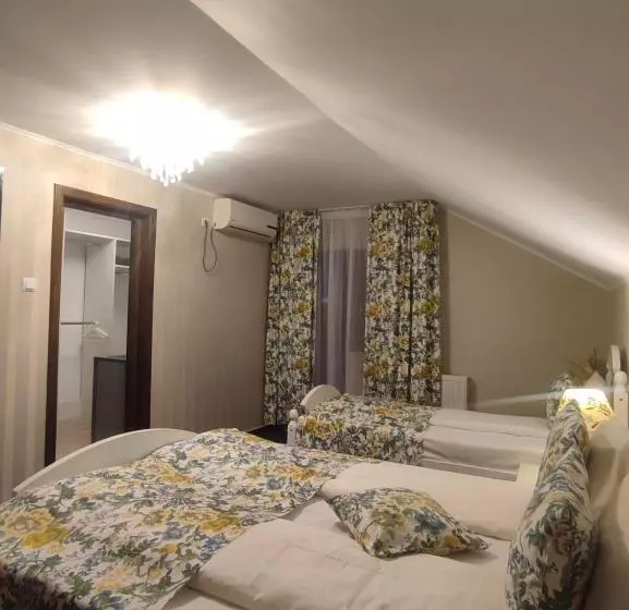 Pensione Casa Alina
