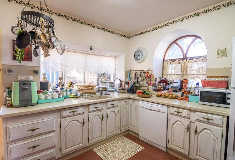 Desert Bird Guest House