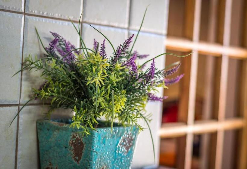 Desert Bird Guest House