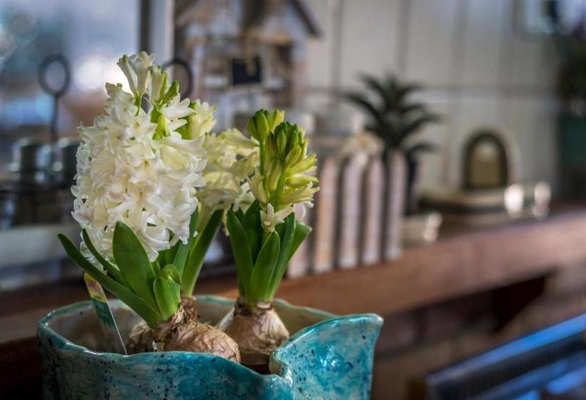 Desert Bird Guest House