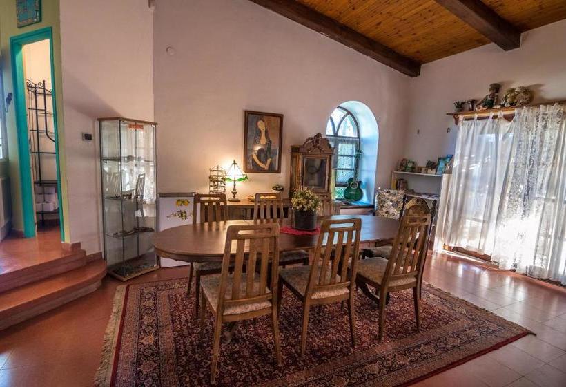 Desert Bird Guest House