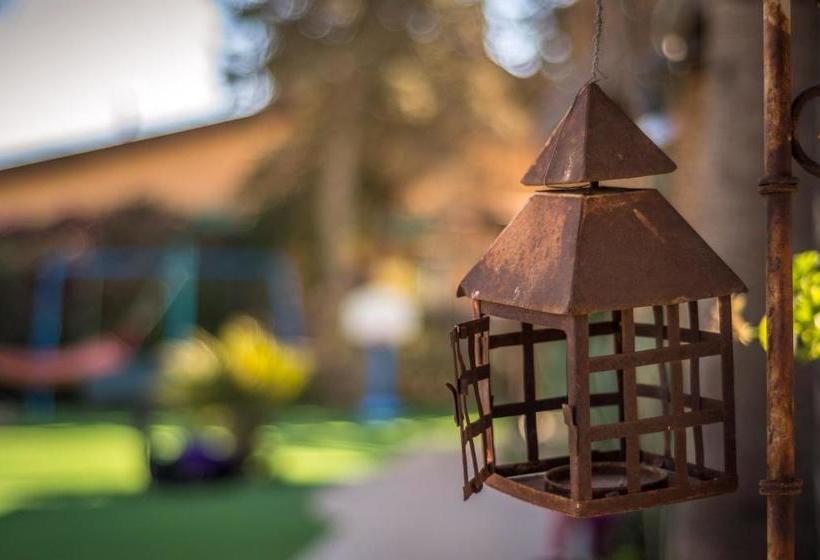 Desert Bird Guest House