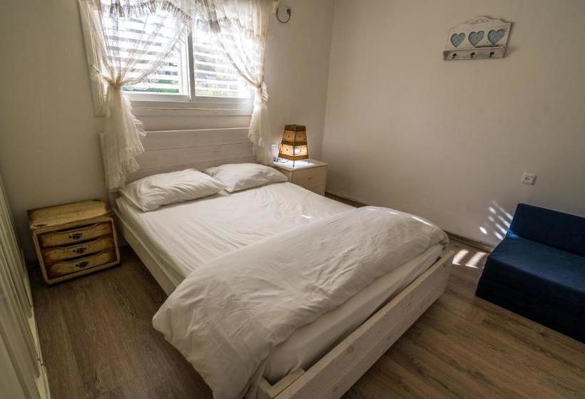 Desert Bird Guest House