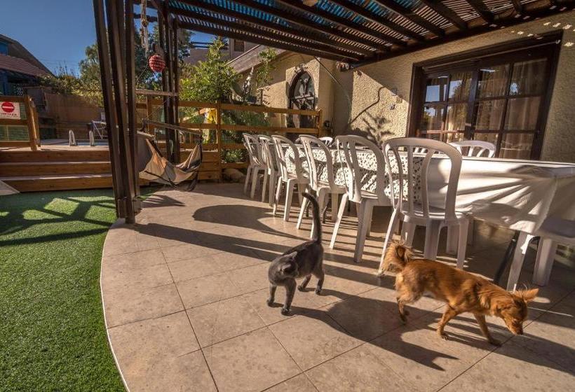 Desert Bird Guest House