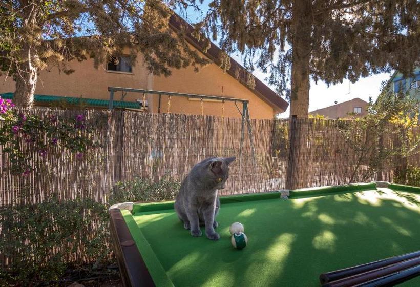 Desert Bird Guest House