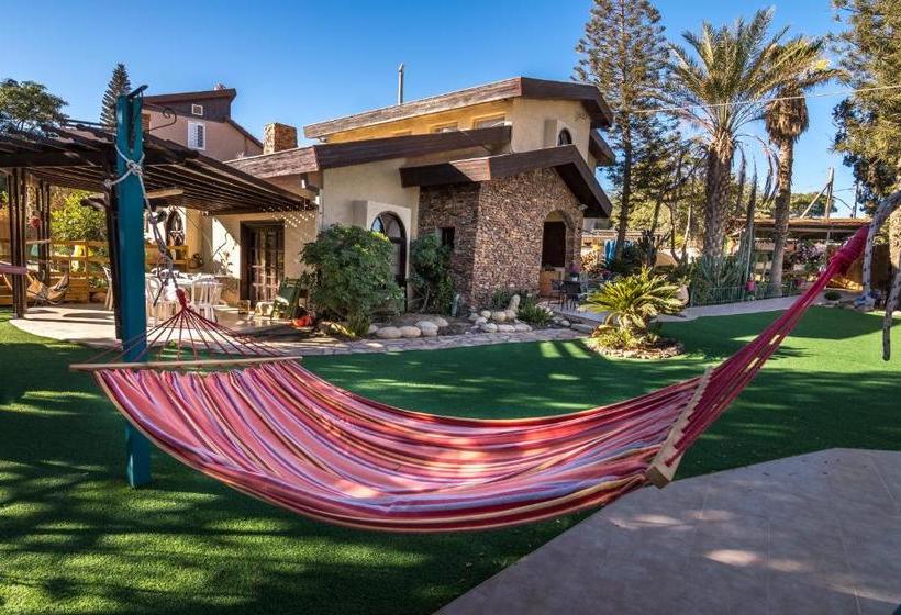 Desert Bird Guest House