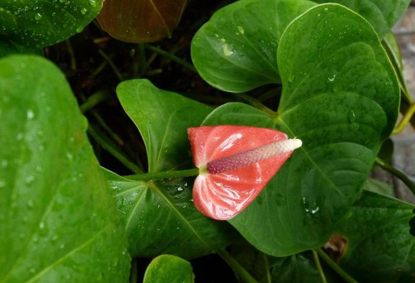 پانسیون Lodge Takini 4