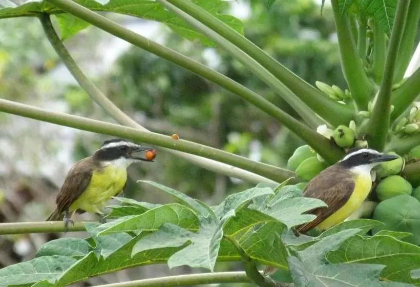 پانسیون Lodge Takini 4