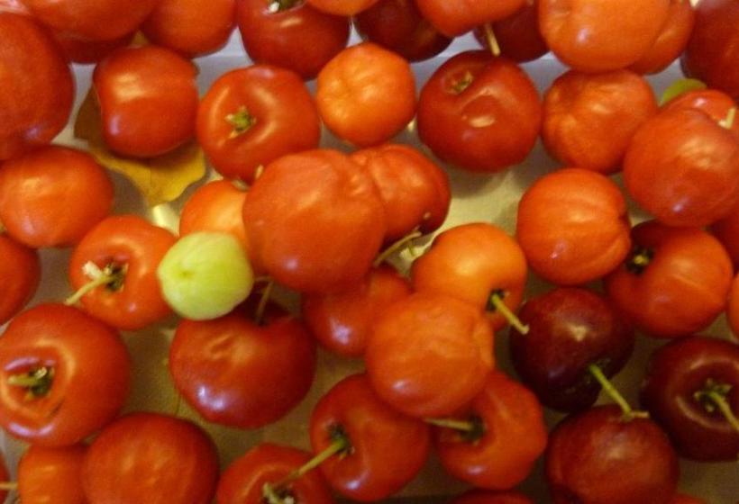 پانسیون Lodge Takini 4