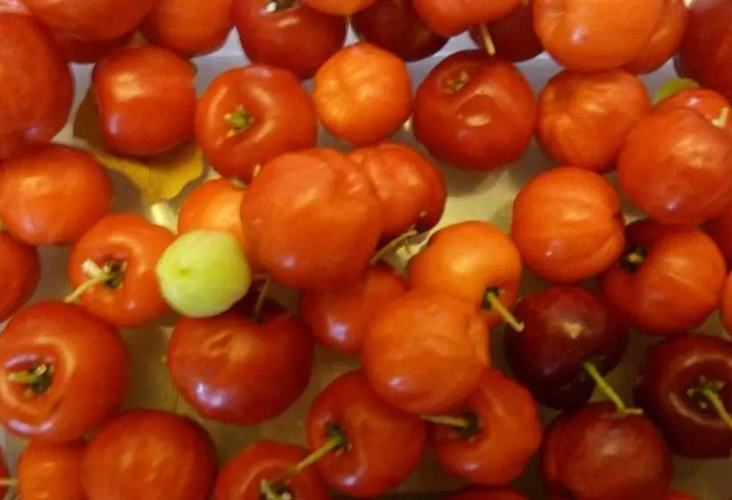 پانسیون Lodge Takini 4