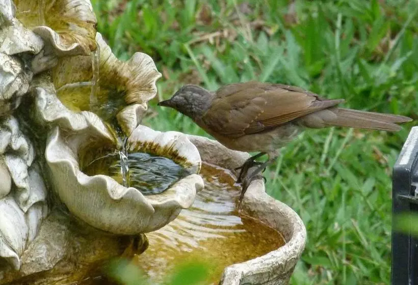 پانسیون Lodge Takini 4