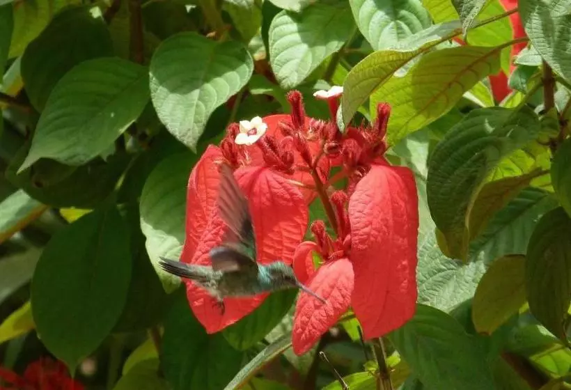 پانسیون Lodge Takini 4