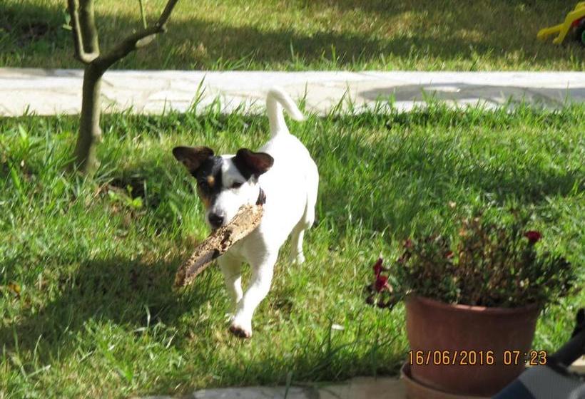 膳宿费 Red Rose Guest House