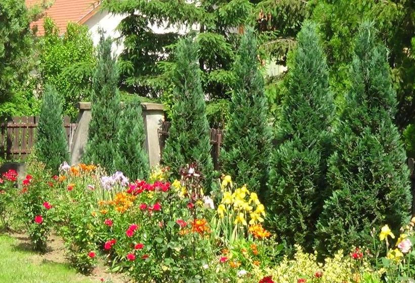 פנסיון Rózsakert Vendégház