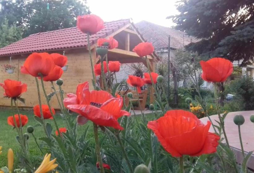 פנסיון Rózsakert Vendégház