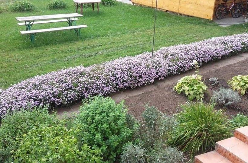 פנסיון Rózsakert Vendégház