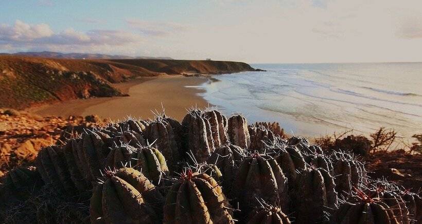 Пансион Tifawin Home And Garden