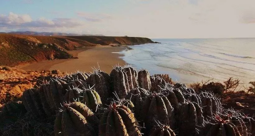 Majatalo Tifawin Home And Garden