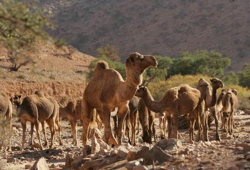 Пансион Tifawin Home And Garden