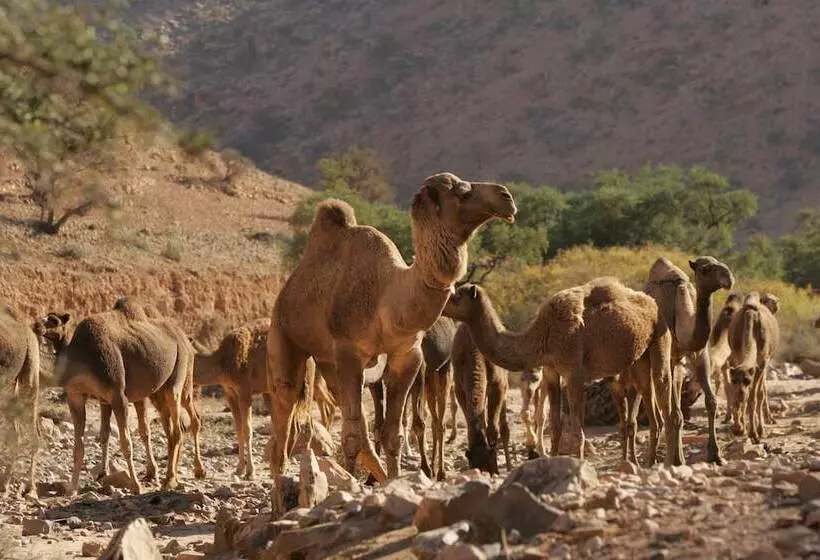 Majatalo Tifawin Home And Garden