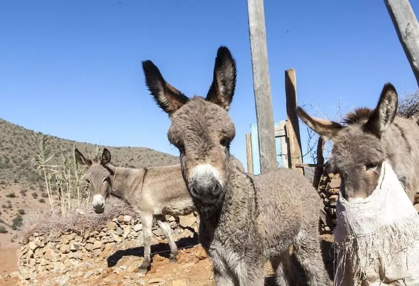 Majatalo Tifawin Home And Garden