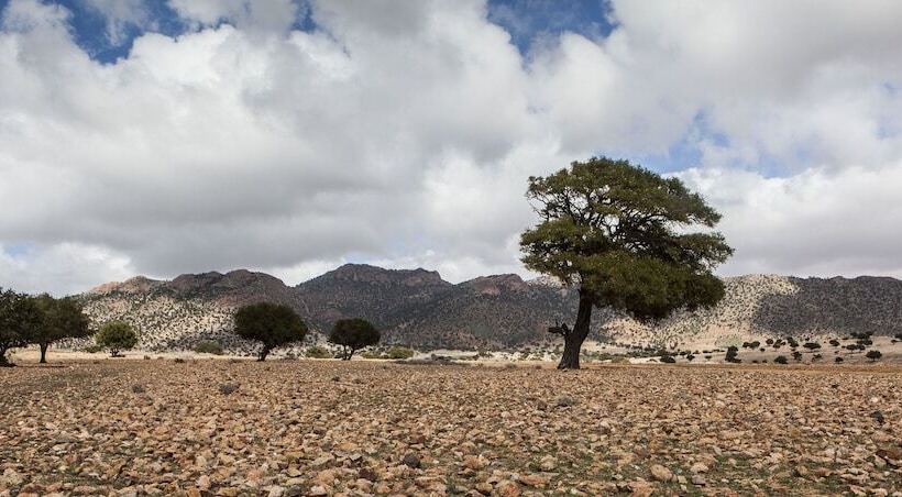 Пансион Tifawin Home And Garden